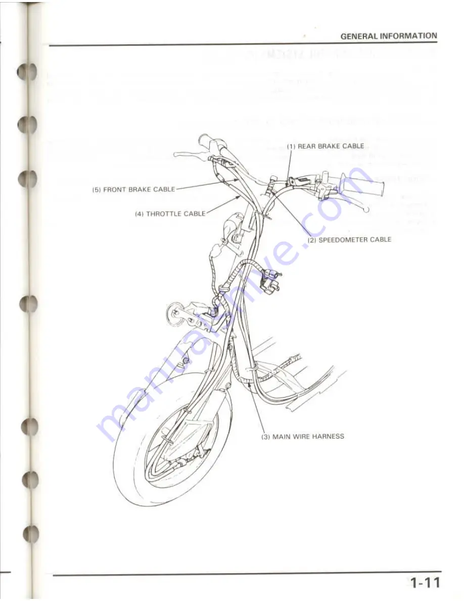 Honda Elite 50 LX Скачать руководство пользователя страница 13