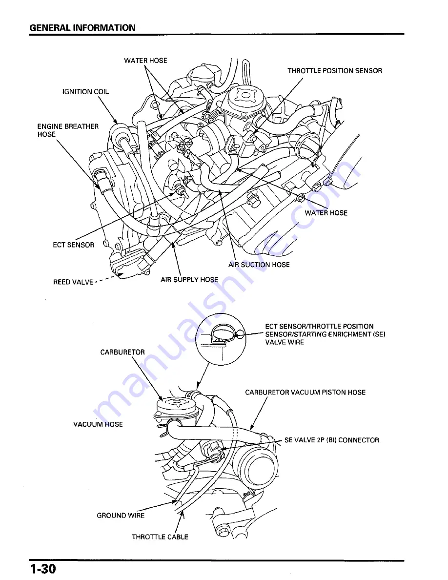 Honda Metropolitan CHF50 Скачать руководство пользователя страница 34