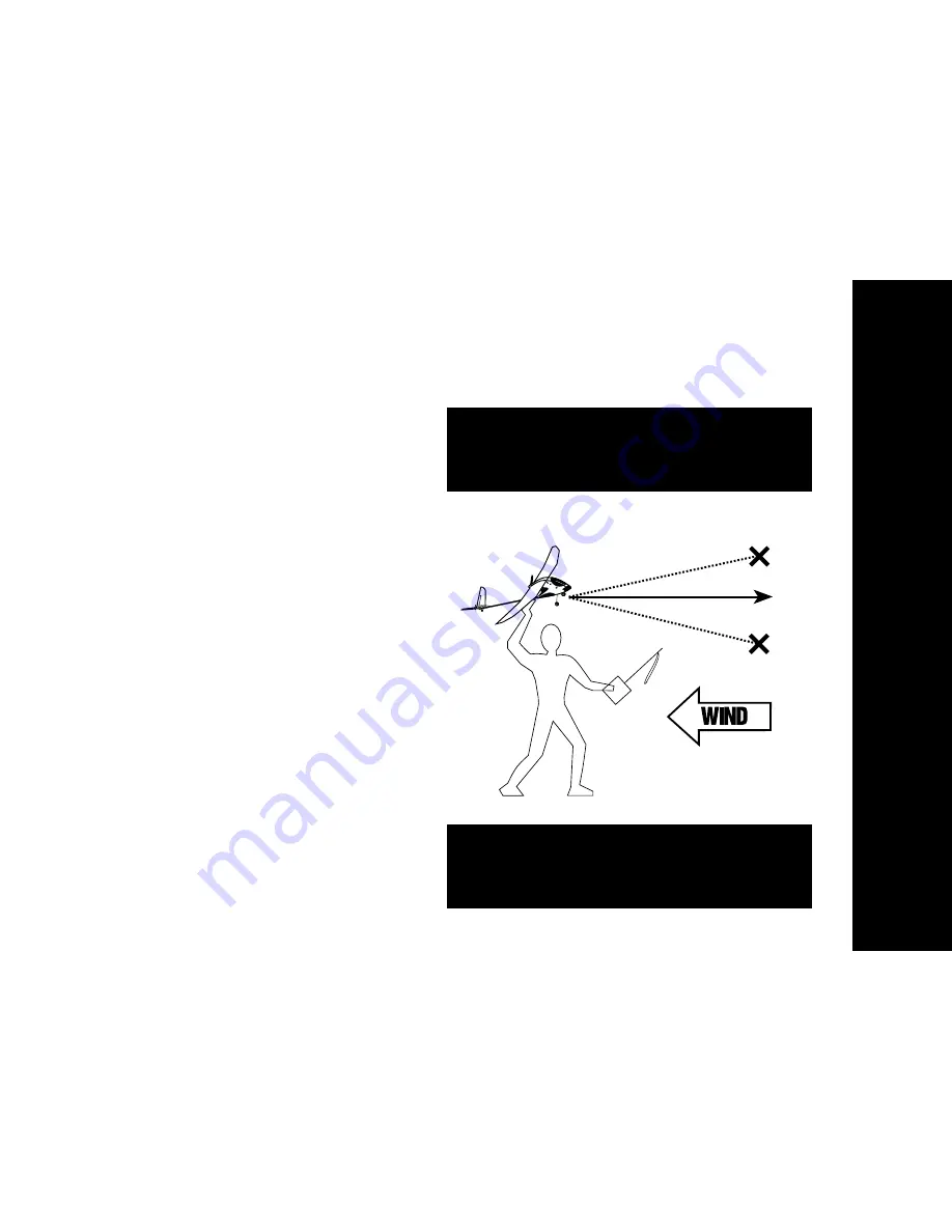 Horizon Hobby AerBird3 Instruction Manual Download Page 17