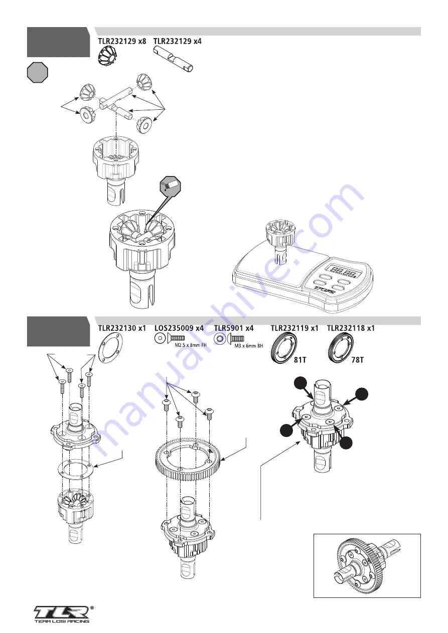 Horizon Hobby TLR 22X-4 Elite Manual Download Page 12