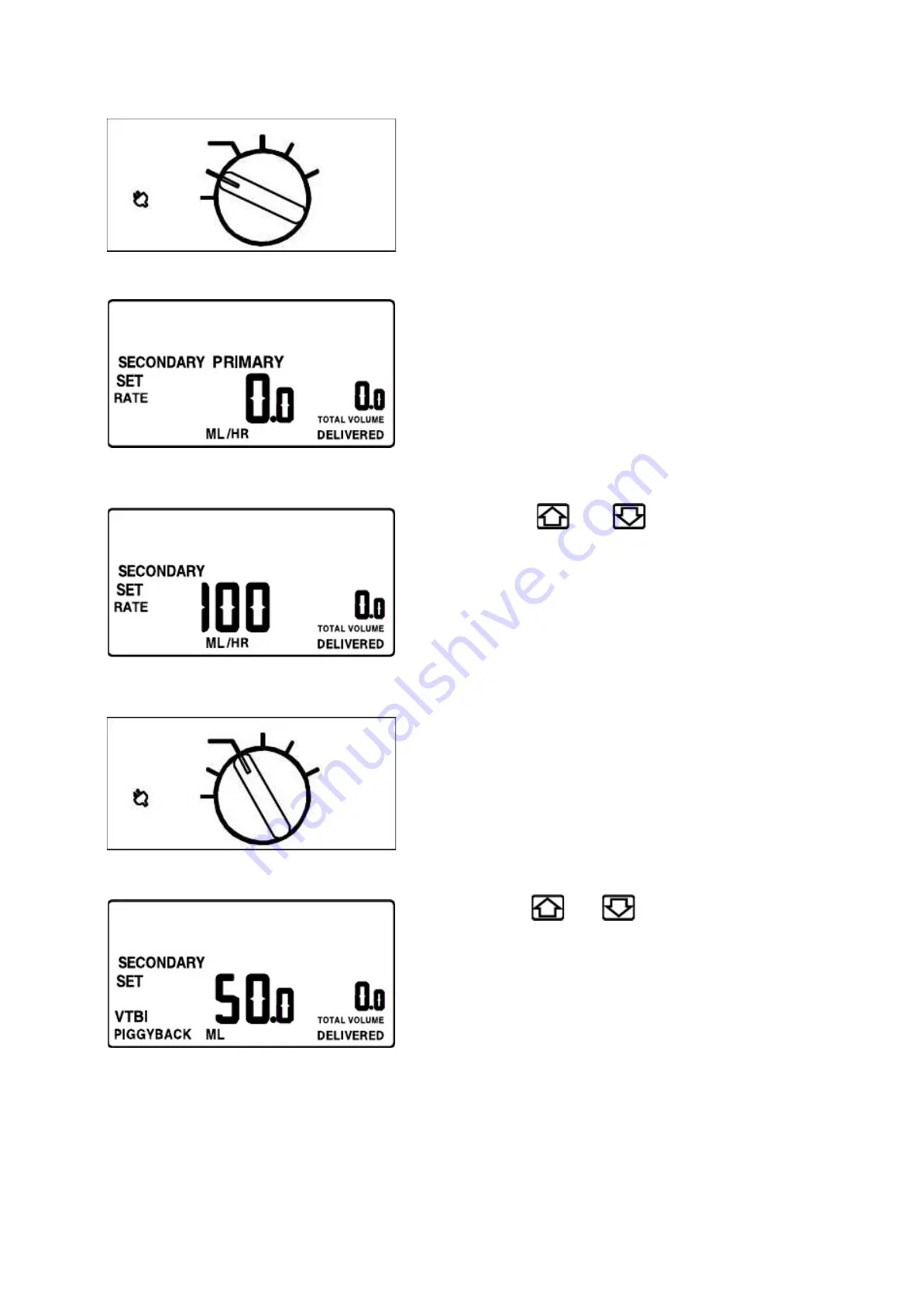 Hospira Micro Macro plum XL Скачать руководство пользователя страница 30