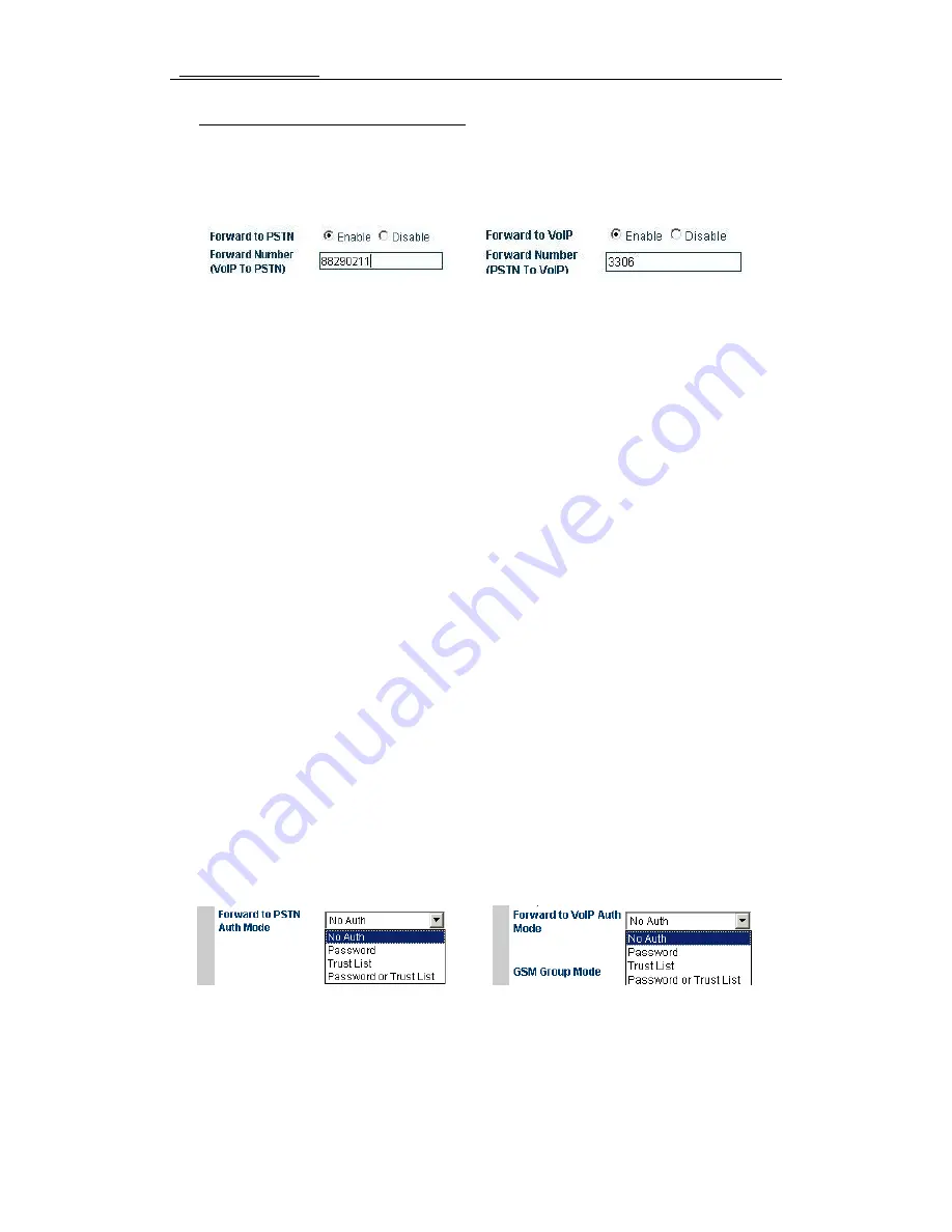 Hybertone COIP User Manual Download Page 48