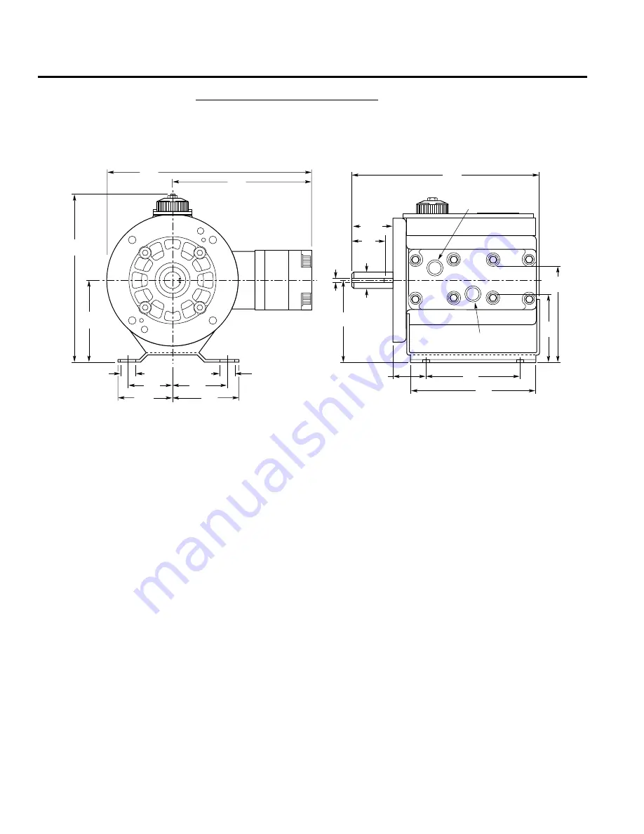 Hydra-Cell D-04 Installation & Service Manual Download Page 4