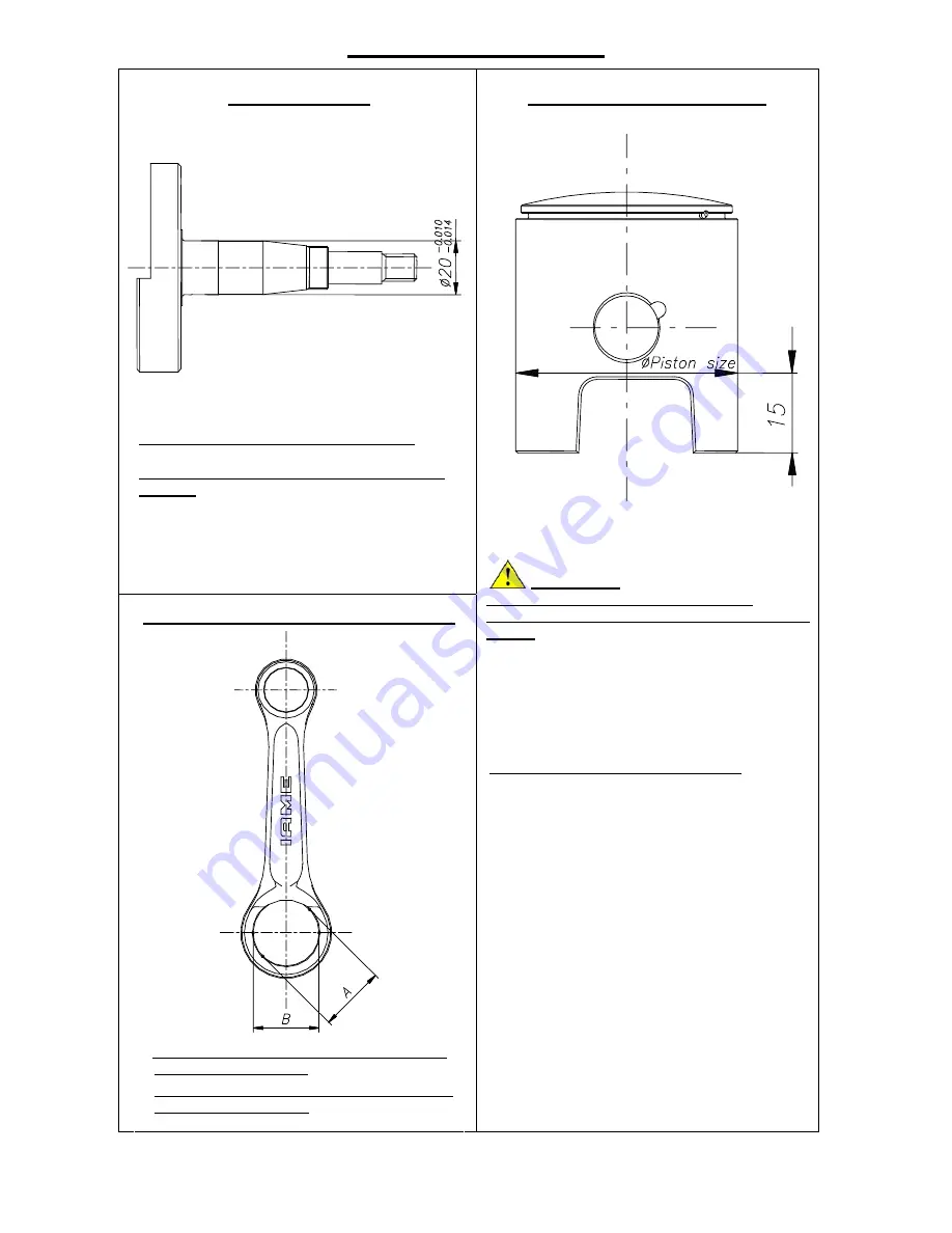 IAME Parilla MINI SWIFT Overhauling Manual Download Page 27