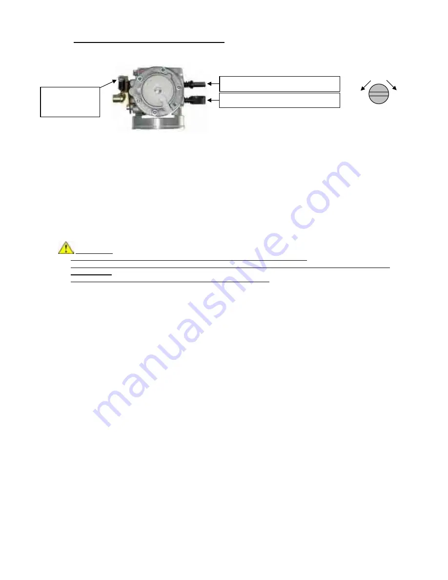 IAME REEDSTER 125cc Assembly Instructions & User Manual Download Page 25