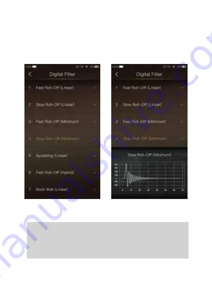 iBasso Audio DX220 MAX User Manual Download Page 58