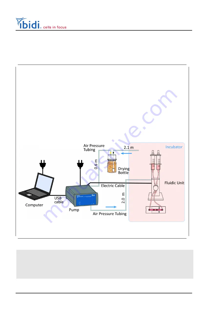 ibidi 10902 Instruction Manual Download Page 32