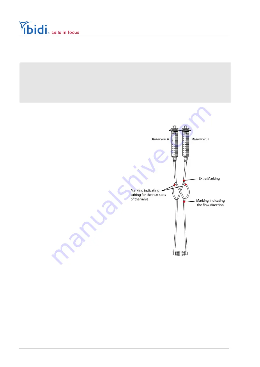 ibidi 10902 Instruction Manual Download Page 38