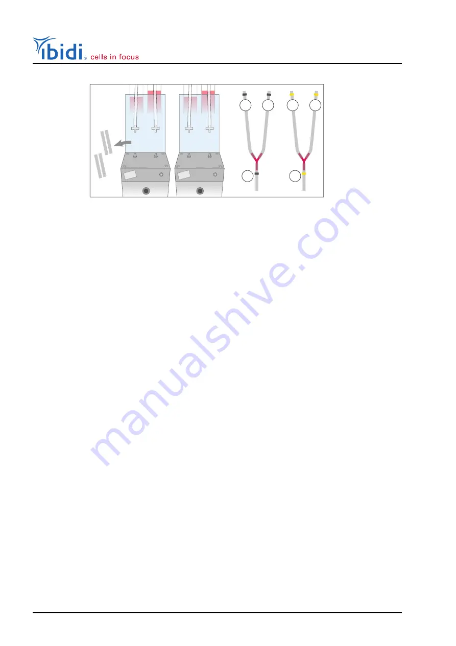 ibidi 10902 Instruction Manual Download Page 54