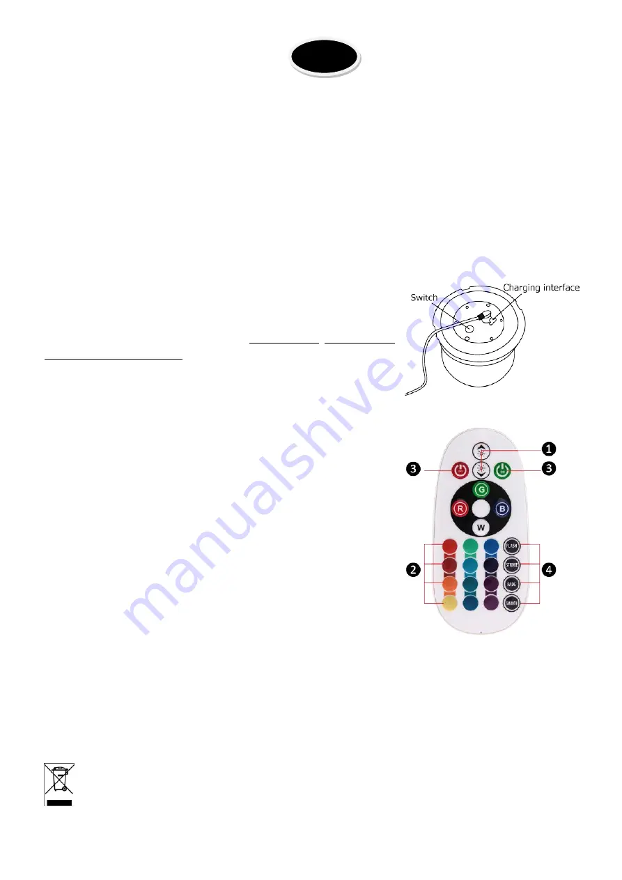 Ibiza LED-LAMP-BIG Instruction Manual Download Page 2