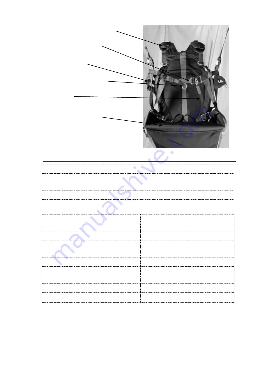 ICARO paragliders BATIS Manual Download Page 7