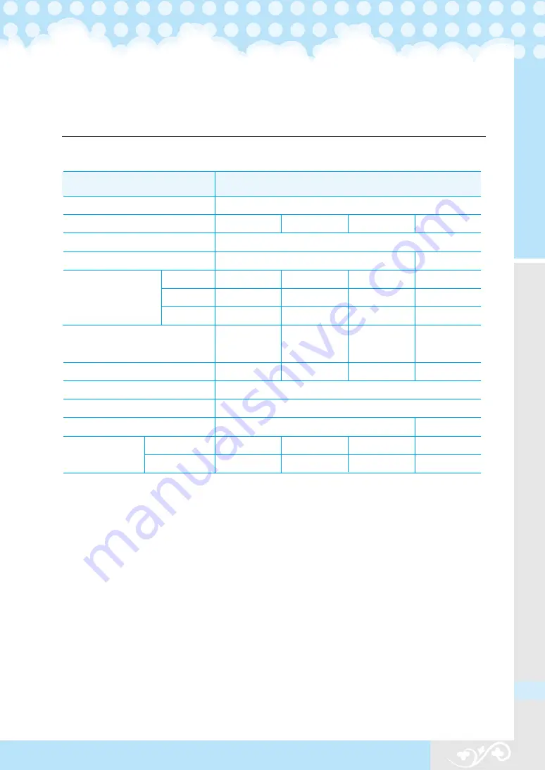 icetro SSI-303SN User Manual Download Page 43