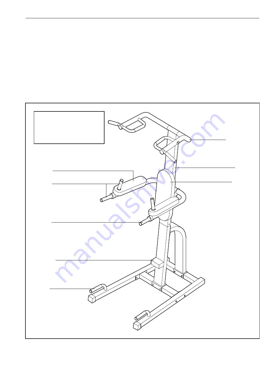 ICON IP Weider PT800 Pro Скачать руководство пользователя страница 4