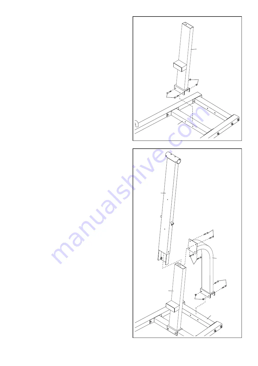 ICON IP Weider PT800 Pro User Manual Download Page 7