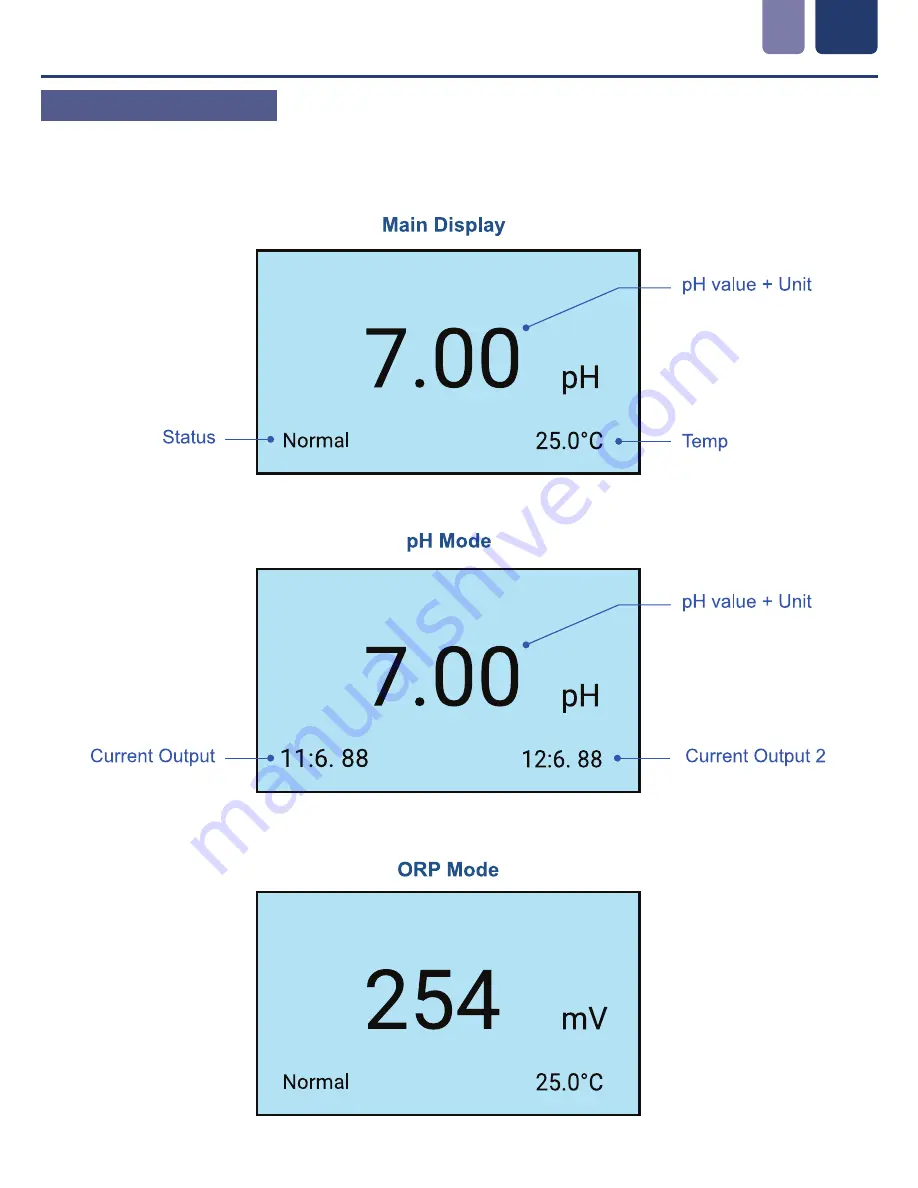 Icon Process Controls ProCon C300 Series Operating Manual Download Page 8