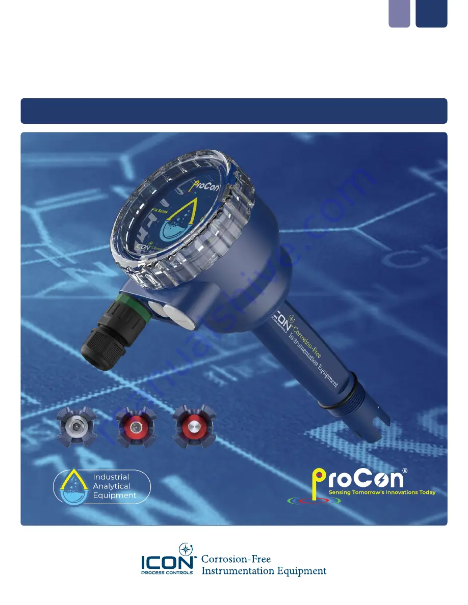 Icon Process Controls ProCon C300 Series Operating Manual Download Page 28