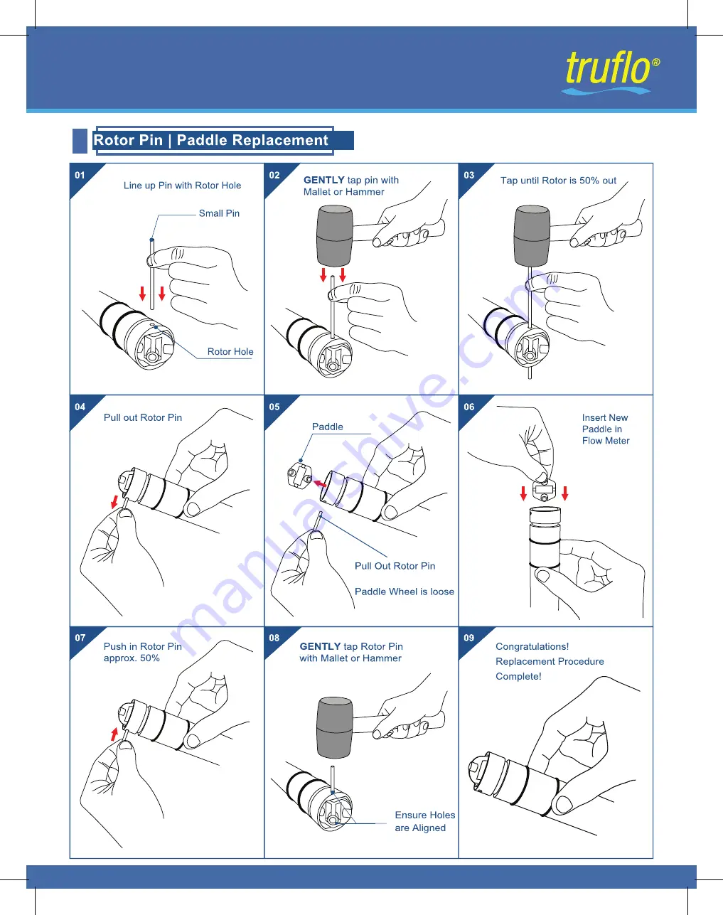 Icon Process Controls truflo TIB Series Скачать руководство пользователя страница 12