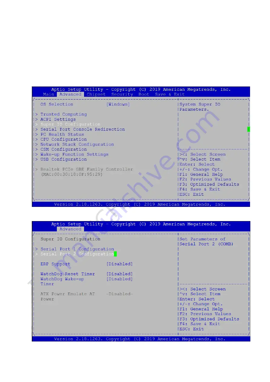 ICOP Technology PINT-090T-APL Series Скачать руководство пользователя страница 39