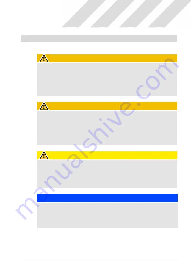 Idex 10129933 Original Operating Manual Download Page 31