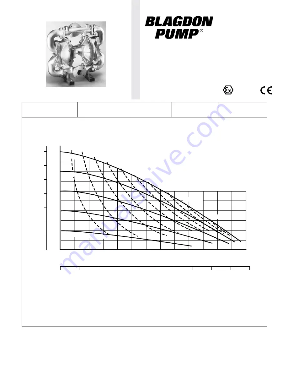 Idex Blagdon Pump X75 Service And Operating Manual Download Page 3