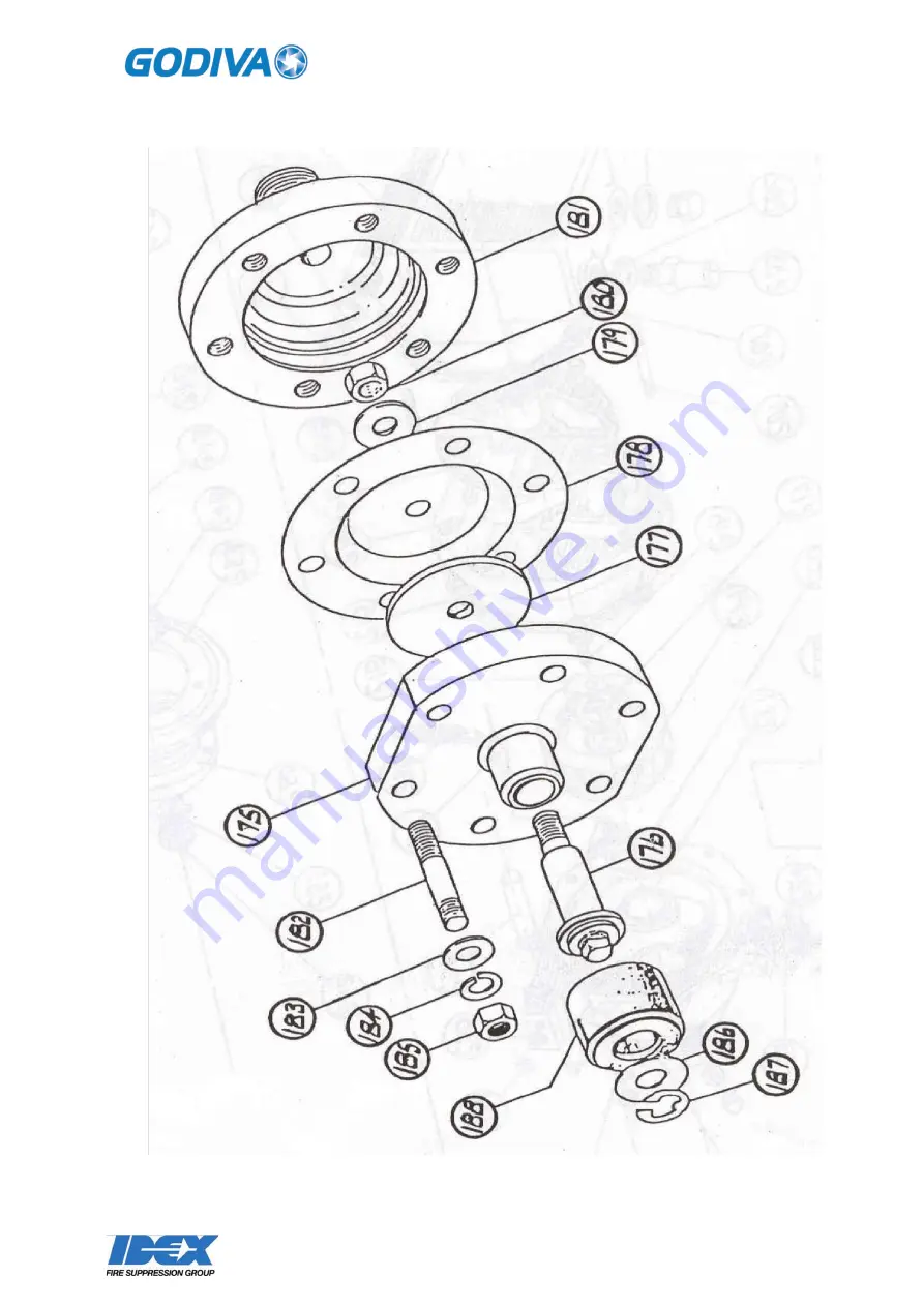 Idex Godiva GV10000 Installation Manual Download Page 30