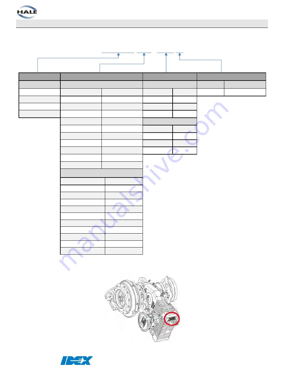 Idex HALE SmartCAFS Installation And Operation Manual Download Page 12