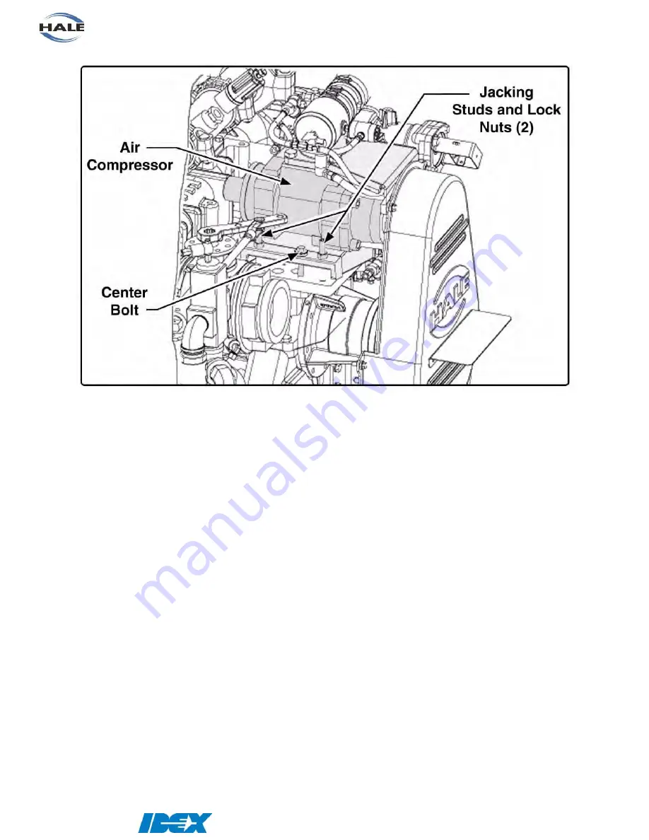 Idex HALE SmartCAFS Installation And Operation Manual Download Page 84