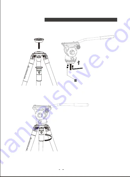 iFootage Gazelle FastBowl TA7 Instruction Manual Download Page 6