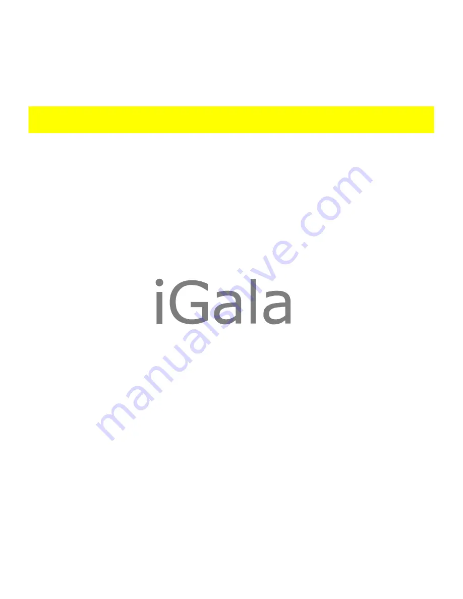 iGala IWP808 User Manual Download Page 33