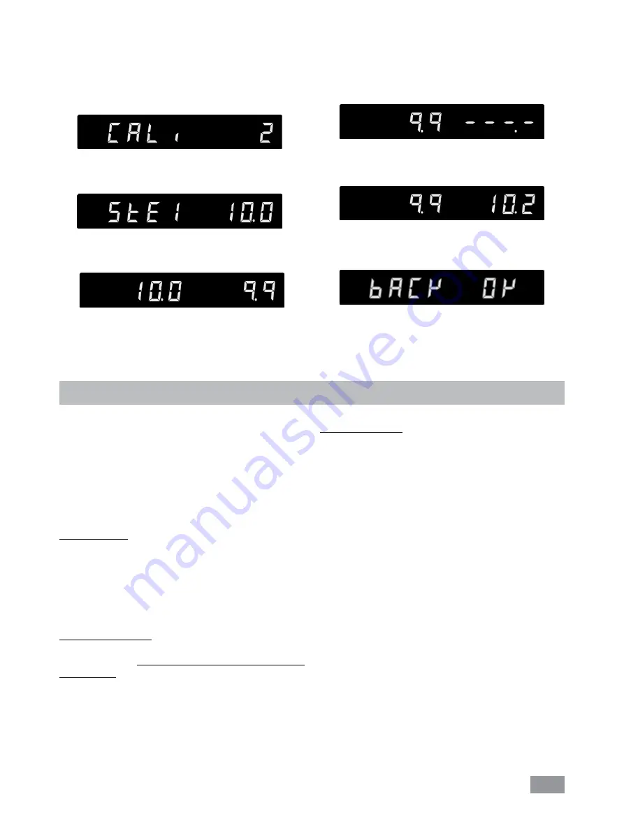 IKA RC 2 basic Скачать руководство пользователя страница 13