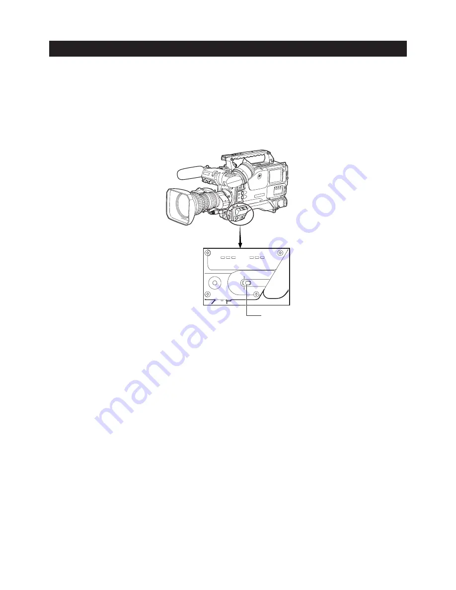 Ikegami Editcam 3 DNS-33W Скачать руководство пользователя страница 49