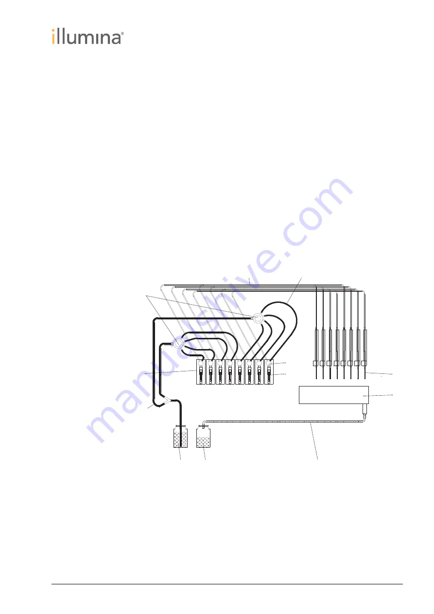 illumina 20040482 Скачать руководство пользователя страница 49