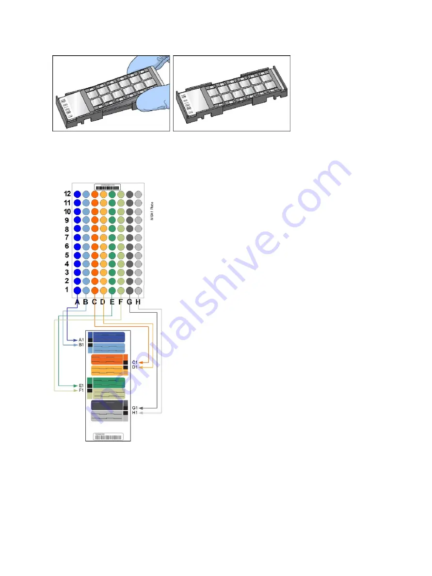 illumina Infinium HD Super Assay Скачать руководство пользователя страница 23