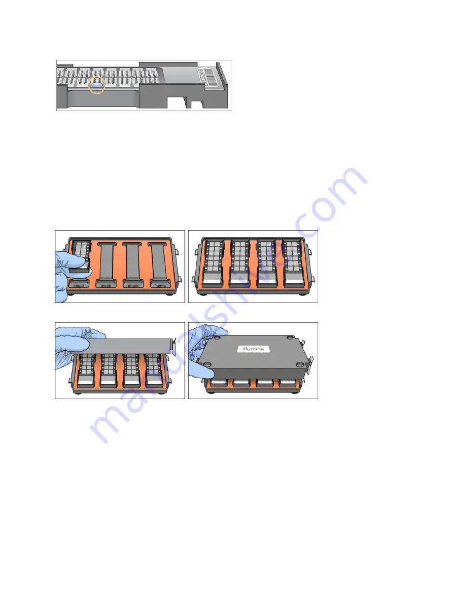 illumina Infinium HD Super Assay Reference Manual Download Page 24