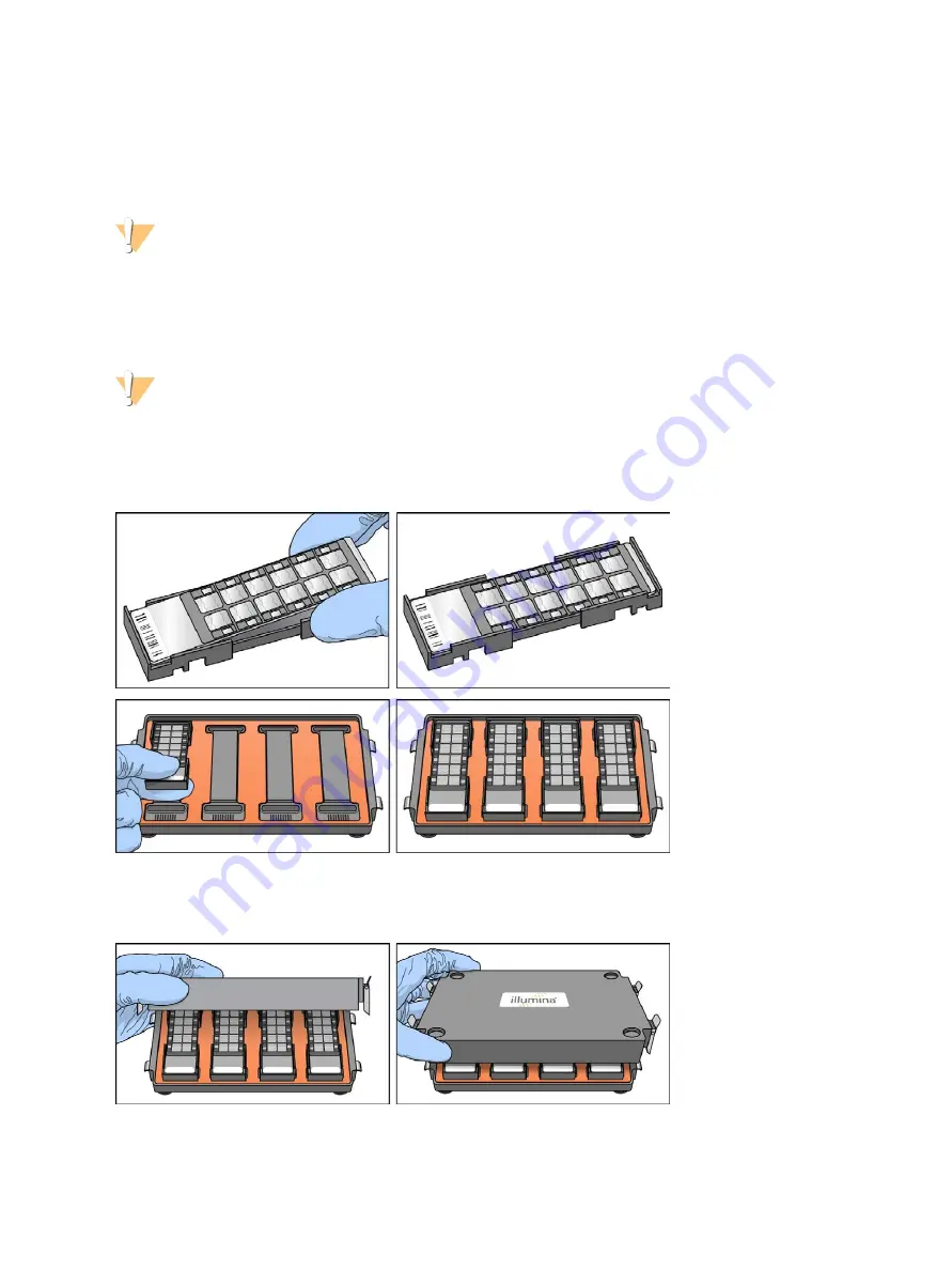 illumina Infinium HD Super Assay Reference Manual Download Page 57