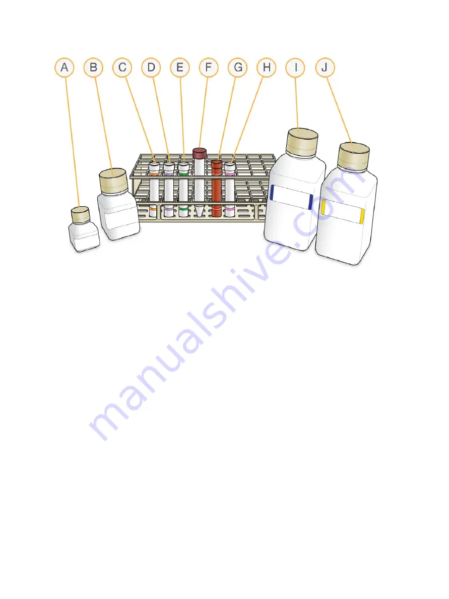 illumina Infinium HD Super Assay Reference Manual Download Page 66