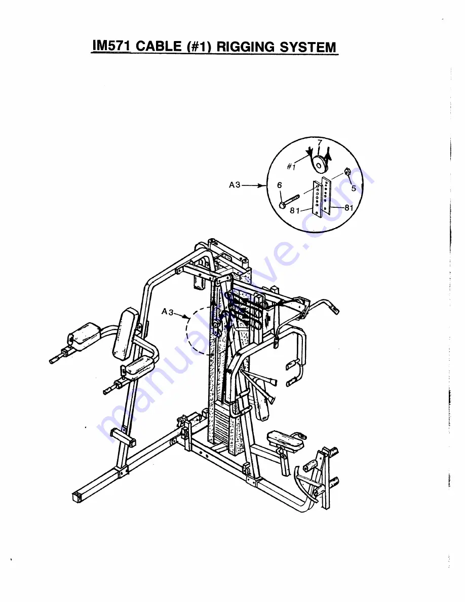 Image 571 Home Traiber Manual Download Page 13