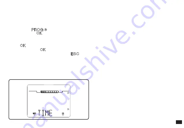 Immergas CARV2 Instruction And Warning Book Download Page 13