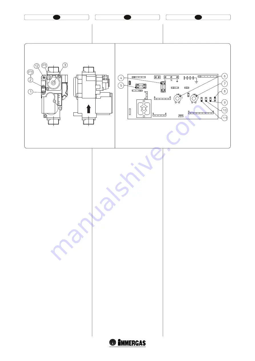 Immergas VICTRIX X 12-24 2 I Instruction Booklet And Warning Download Page 41