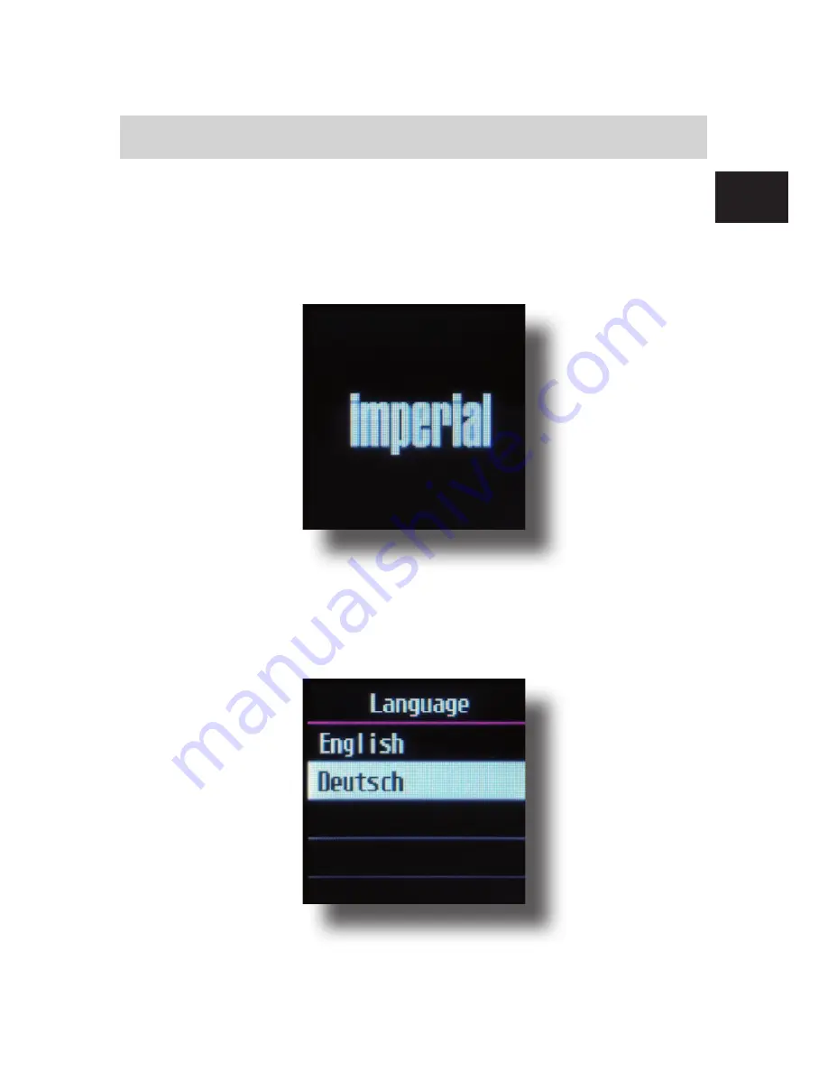 Imperial DABMAN 1 Operating Manual Download Page 13