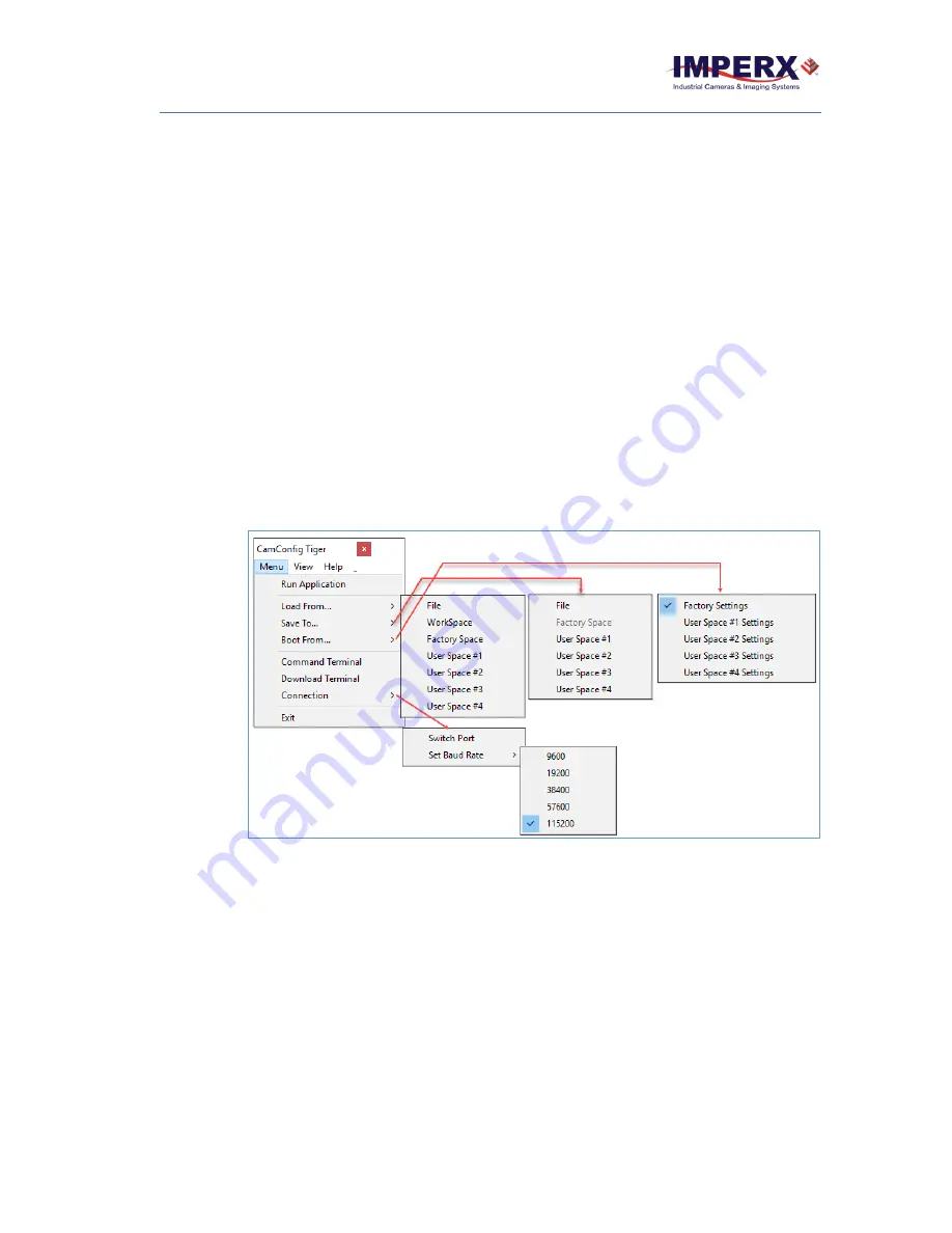 Imperx Tiger T2040 User Manual Download Page 47