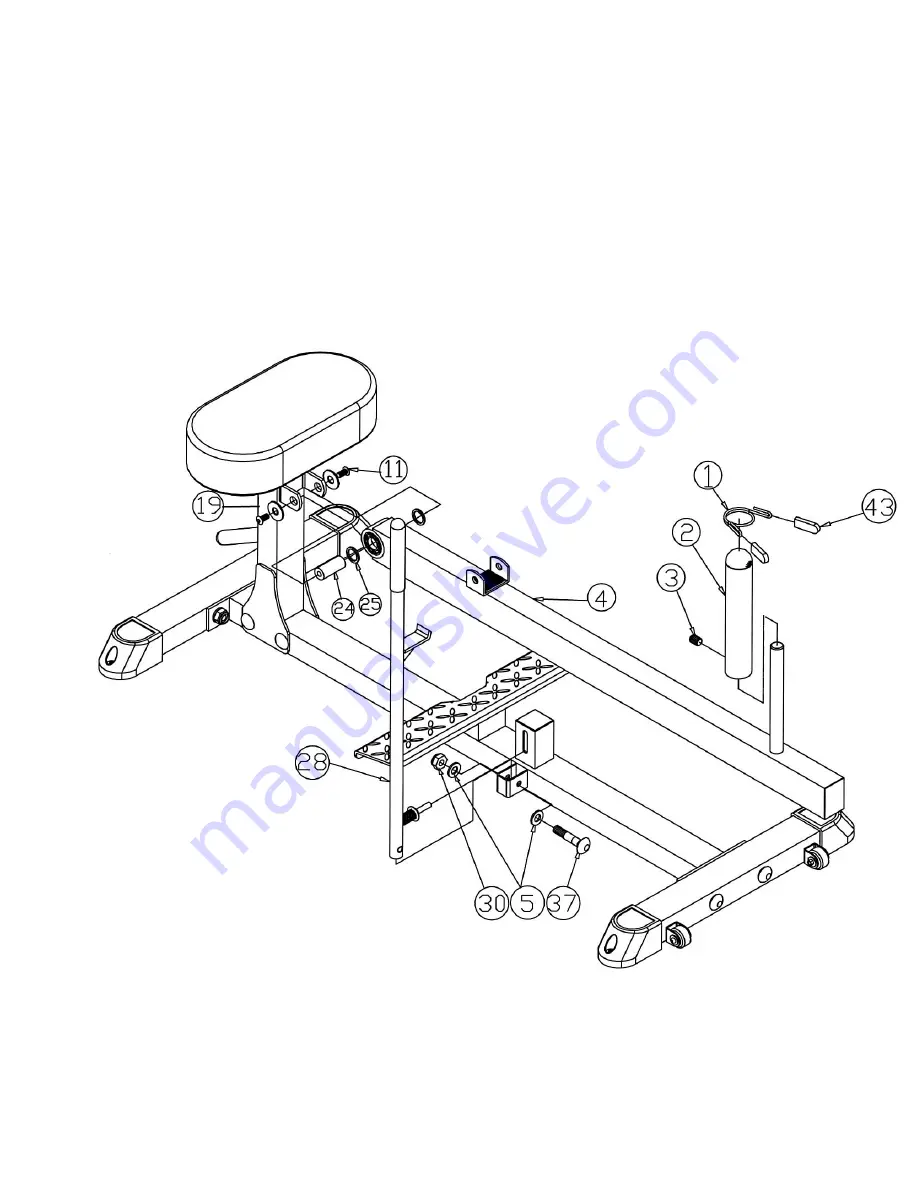 Impex Iron Grip Sport IGS-02 Owner'S Manual Download Page 6