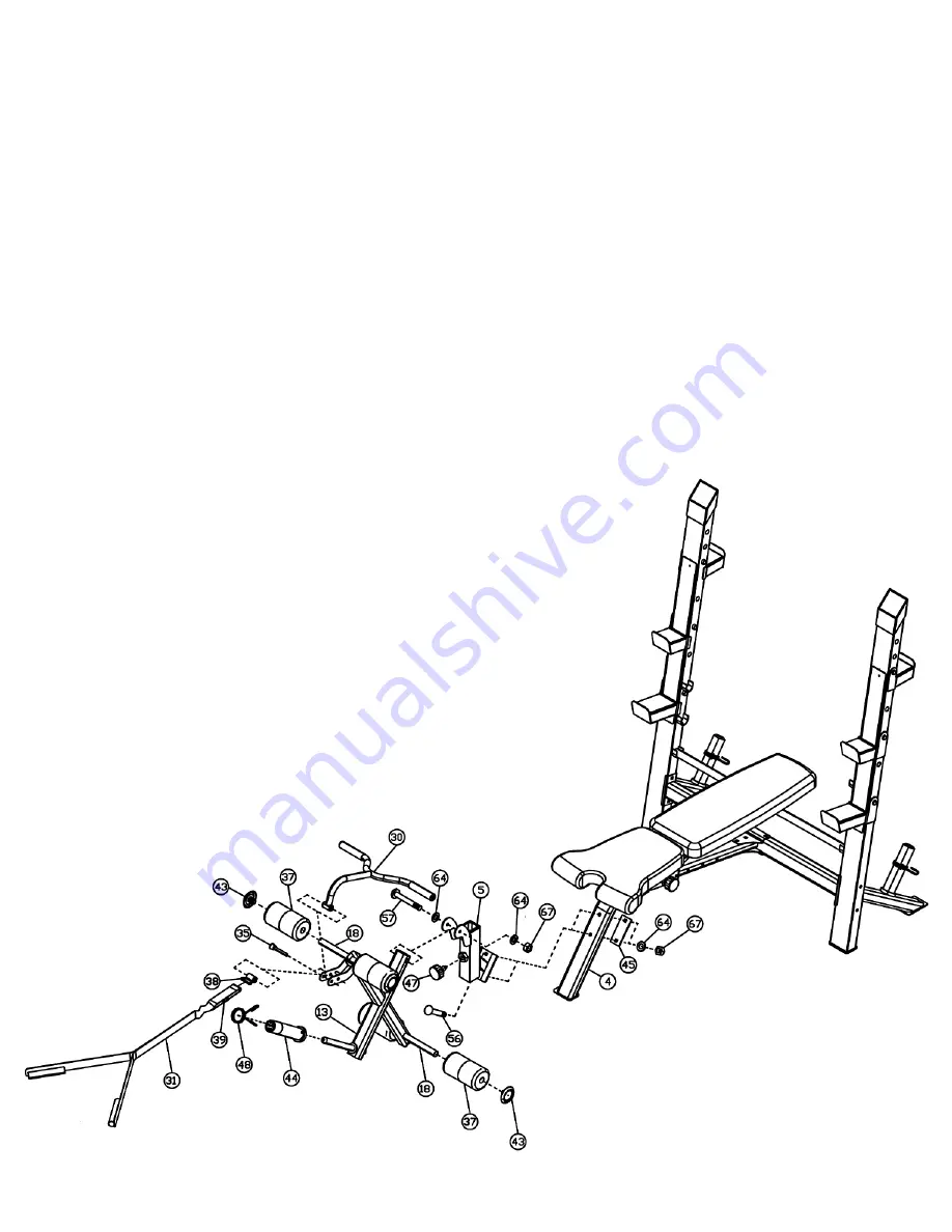 Impex Marcy Diamond MD-8861 Скачать руководство пользователя страница 10