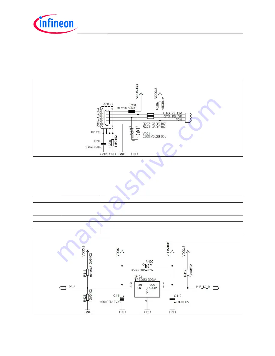 Infineon Technologies CPU_45A-V3 User Manual Download Page 19