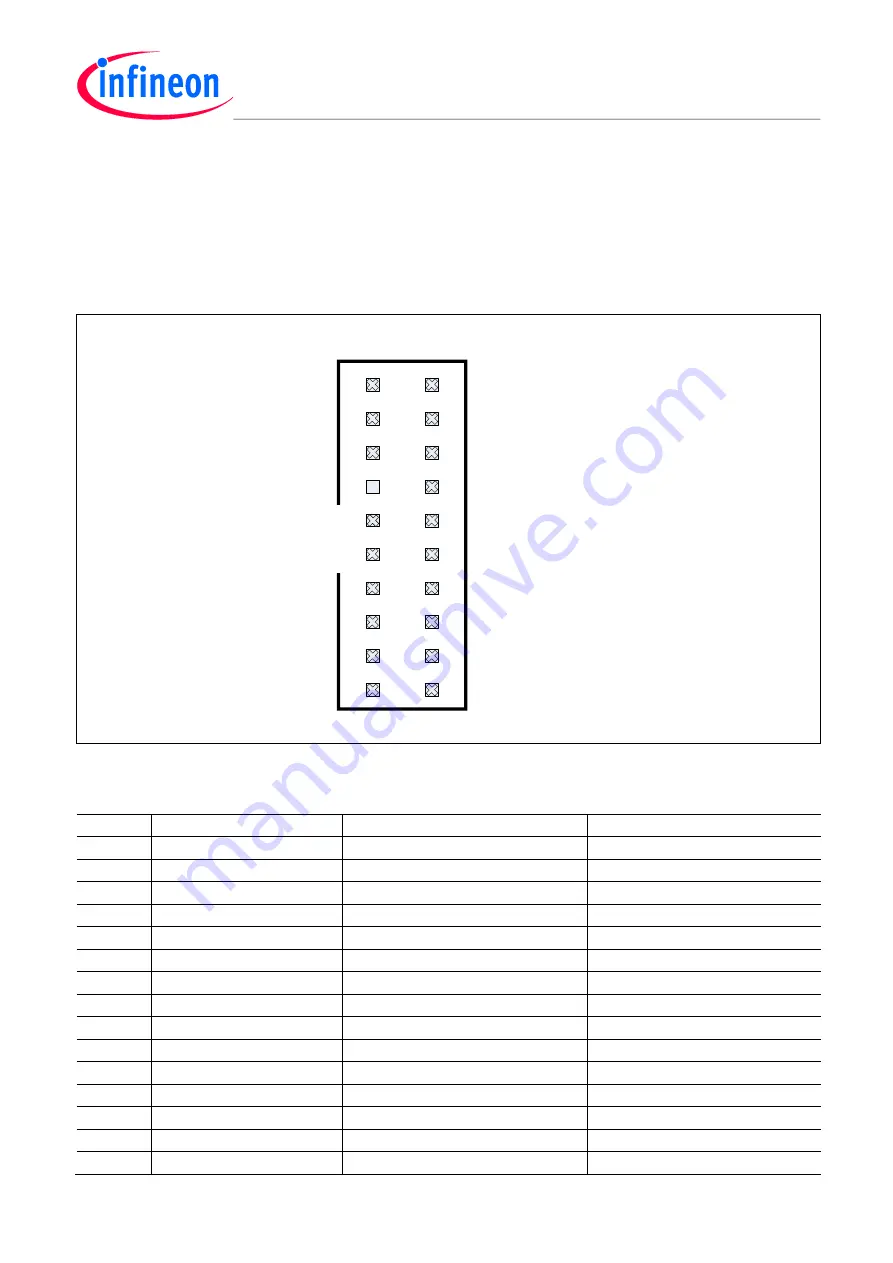 Infineon CPU-42A-V1 Manual Download Page 19