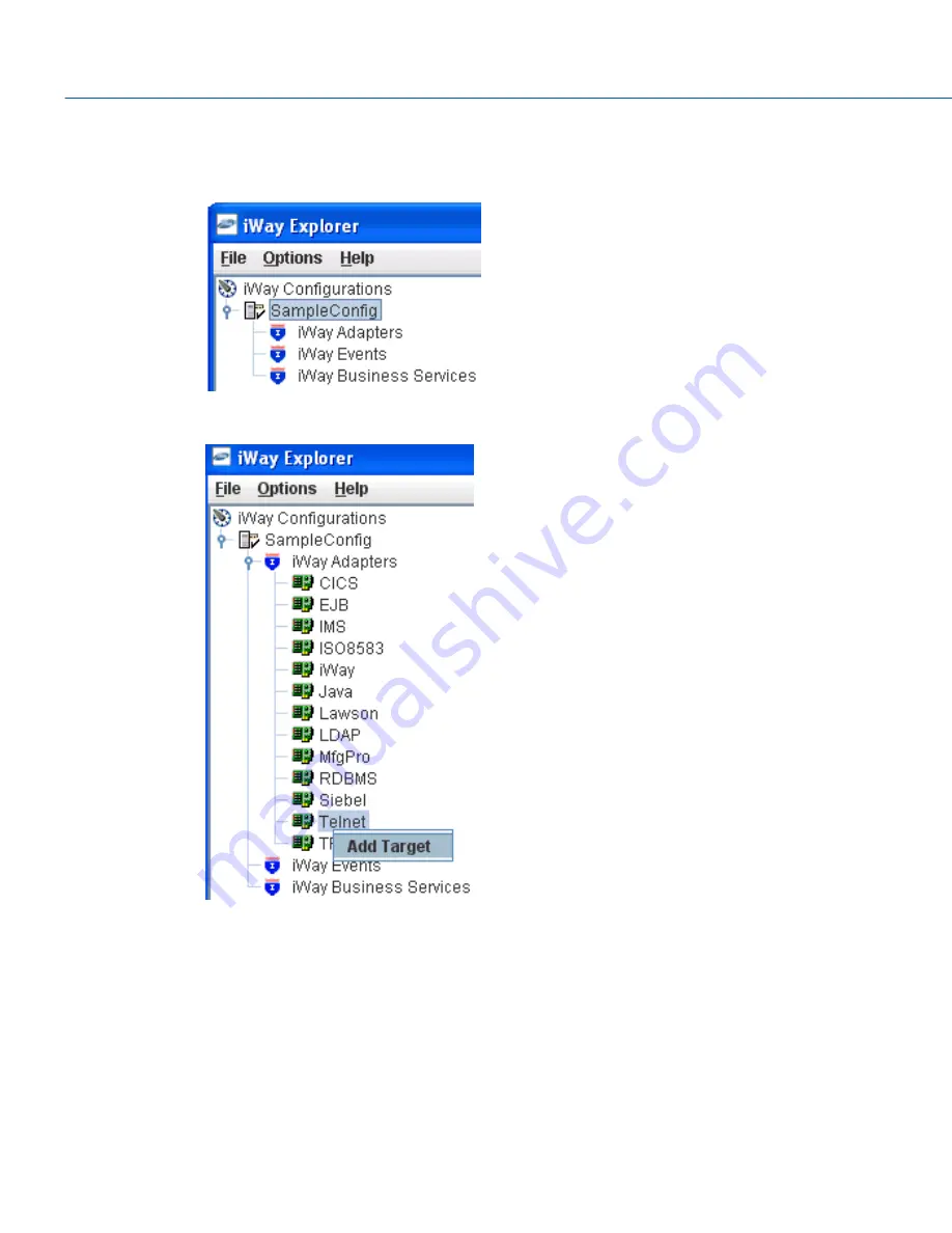 Information Builders iWay 3270 User Manual Download Page 54