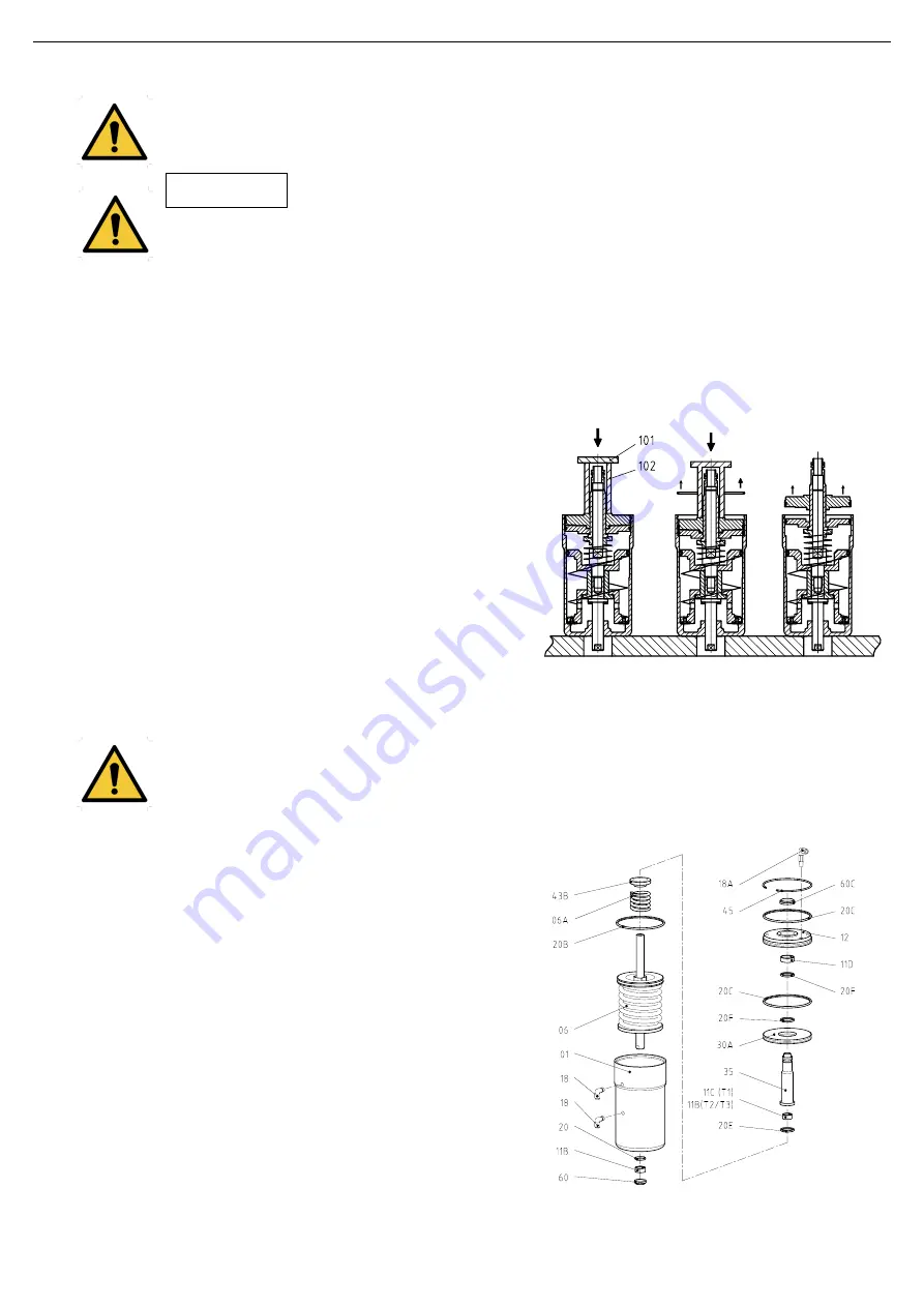 INOXPA INNOVA P Series Installation, Service And Maintenance Instructions Download Page 19