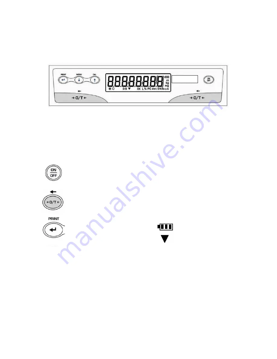 Intelligent Intell-Lab PH Series User'S Operation Manual Download Page 6