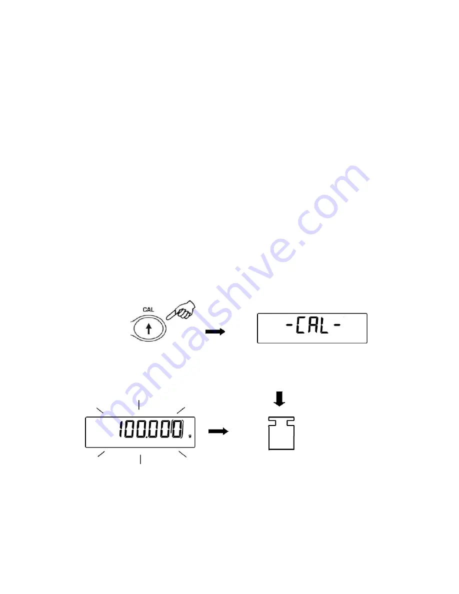 Intelligent Intell-Lab PH Series User'S Operation Manual Download Page 13