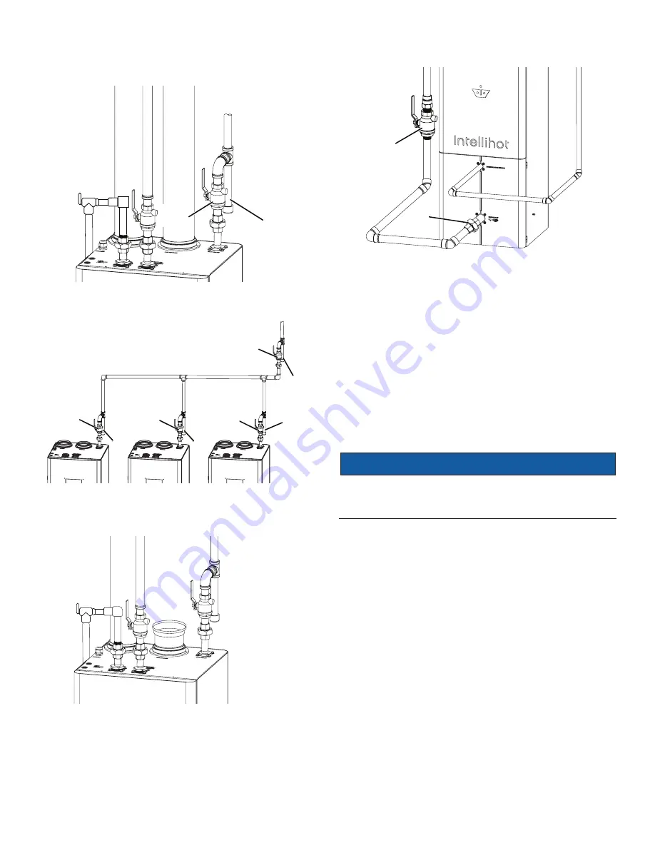 Intellihot iN199 Installation & Operation Manual Download Page 20